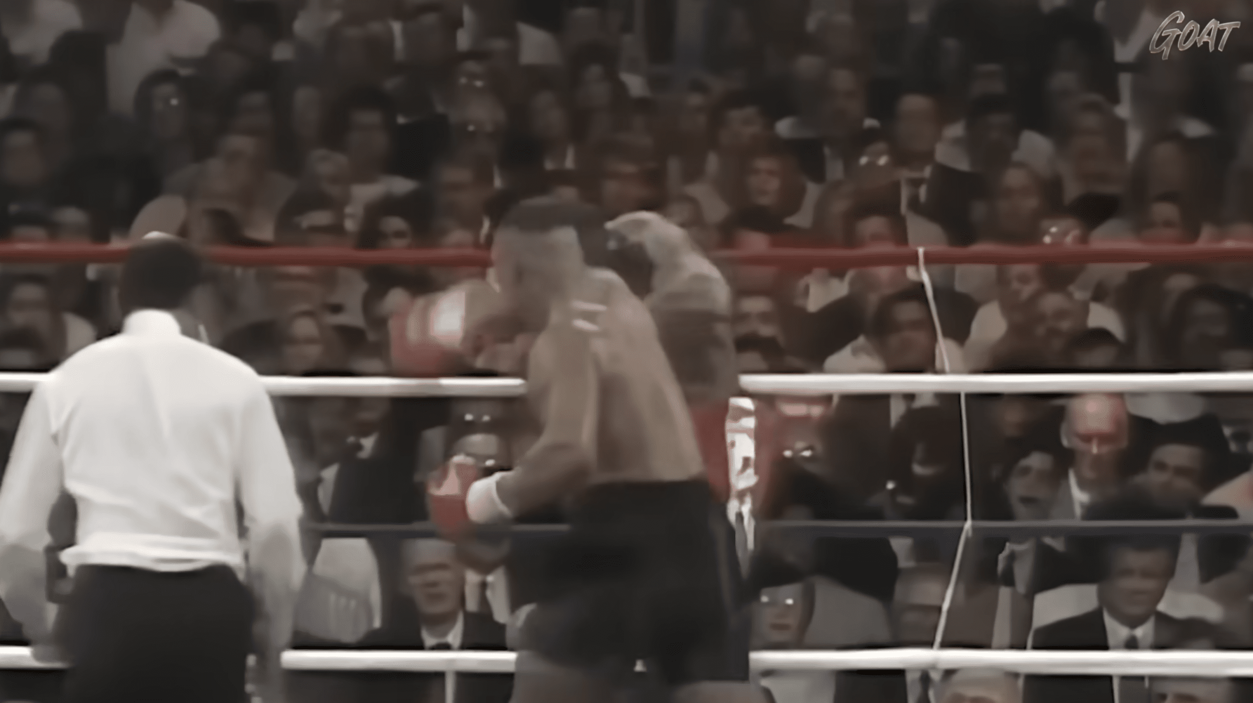 Mike Tyson Vs Frank Bruno